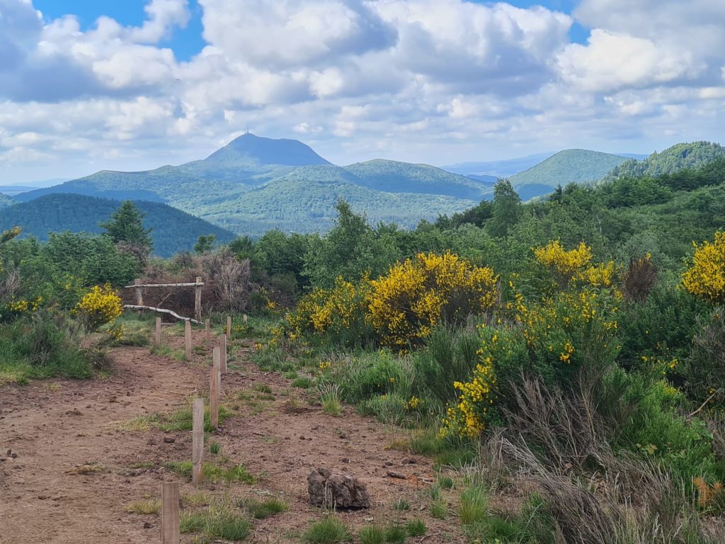 Panorama dans le Parc des volcans d'Auvergne avec, entre autres, le Puy de Dôme, le Puy de Pariou et le Puy des goules